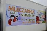 Mlekovita przejmuje Okręgową Spółdzielnię Mleczarską w Ostrowcu. Przygotowywane są umowy z rolnikami, dostają więcej za mleko