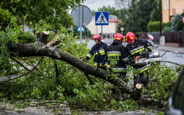Straż Pożarna poinformowała o skutkach wczorajszych wichur nad Polską