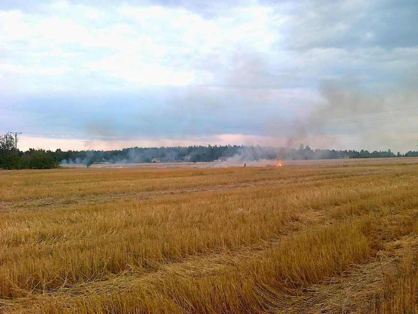 Ściernisko paliło się w piątek około godziny 17.30.