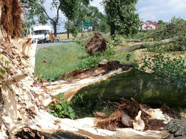 Po nawałnicy w powiecie jędrzejowskim.