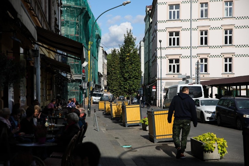 Kraków. Alkohol wykończył graby na placu Nowym? Teraz czas na ostrokrzew