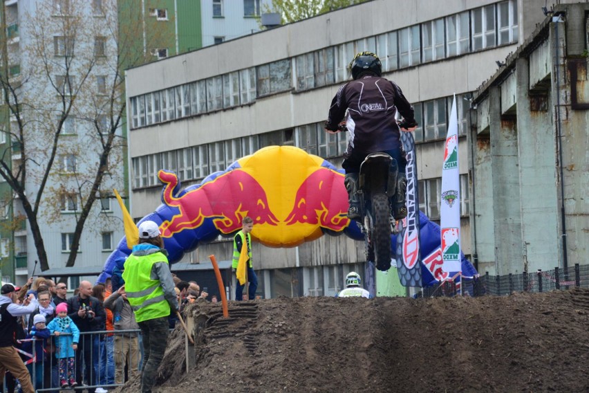 Dębowy Maj Festiwal trwa w Dąbrowie Górniczej