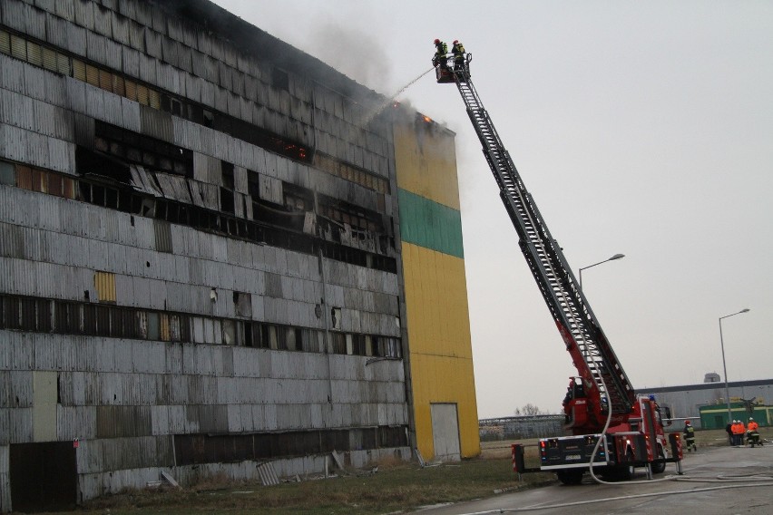 Pożar hali na terenie Zakładów Chemicznych Siarkopol w Tarnobrzegu