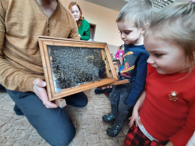 Warsztaty pszczelarskie dla przedszkolaków z Małogoszcza. Zobaczyły pszczoły, przymierzyły strój pszczelarza i zrobiły świece z wosku.