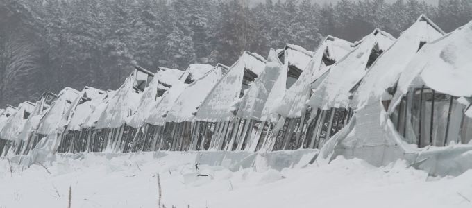 Taki widok od wczoraj straszy przejeżdżających kierowców