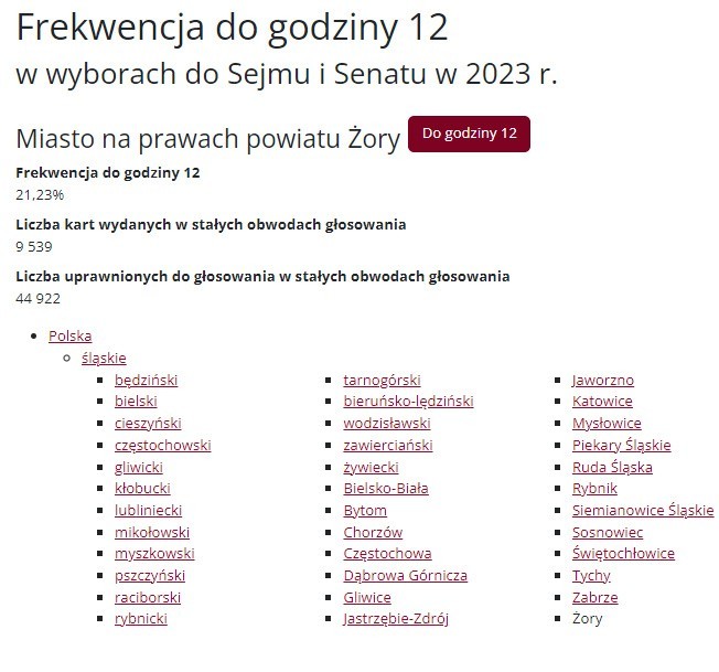 Wybory 2023 - frekwencja w województwie śląskim może być rekordowa. Jest wyższa niż cztery lata temu