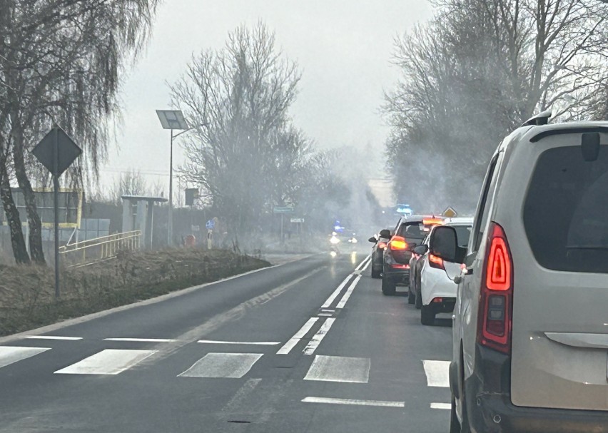 Pożar samochodu osobowego na drodze z Mielna do Koszalina [ZDJĘCIA]
