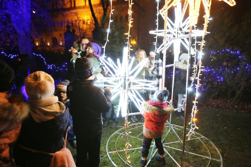 Zaczarowany ogród w parku Staromiejskim we Wrocławiu