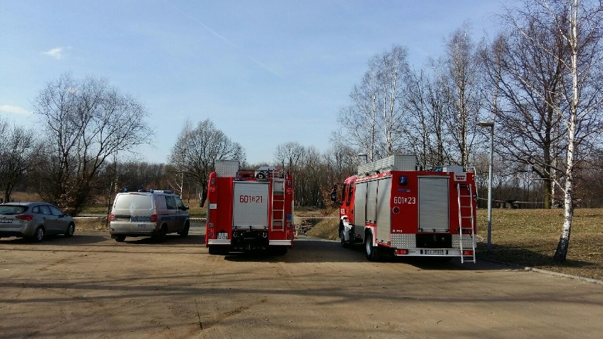 Przechodzień zauważył ciało w stawie Rzęsa w Siemianowicach...