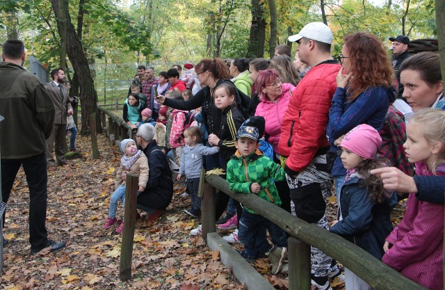 W siedzibie Centrum Edukacji Ekologicznej w Grudziądzu przy ulicy Nad Torem 1 od godziny 11:00 do 14:00 grudziądzanie całymi rodzinami uczestniczyli w jesiennym spotkaniu "Drzwi Otwarte C E E. W programie zwiedzanie kwater danieli, sal i ścieżek edukacyjnych. Warsztaty ekologiczne gdzie wykonywano jesienne wianki i sowy. Konkursy z nagrodami oraz kiełbaski z ogniska i smaczne jabłka.