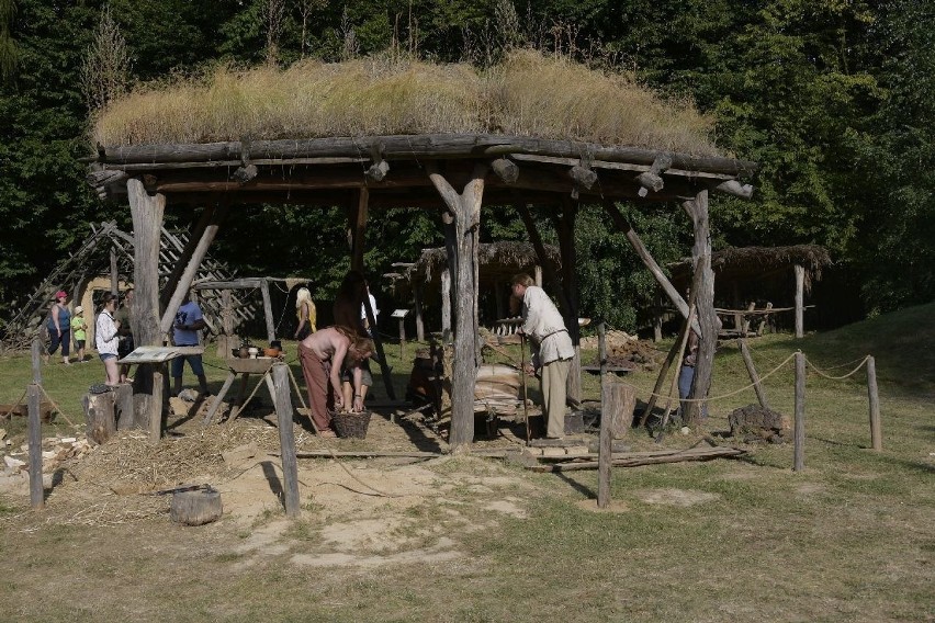 Pokazy archeologiczne i historyczne, defilada oraz...