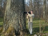 <I>Nakręcony w Puszczy Białowieskiej film Krystiana Matyska porównywany jest z francuskim "Makrokosmosem"</I> 