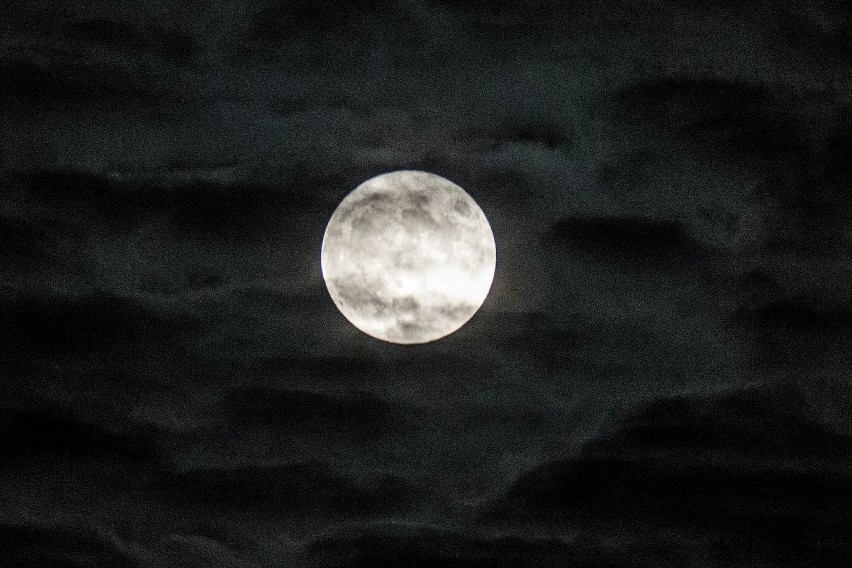 Superksiężyc 2016 nad Radomiem. Zobacz zdjęcia!