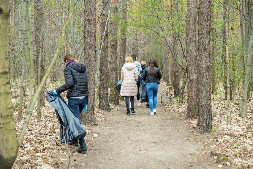 Białystok. We wtorek w południe TaniaKsiazka.pl posprzątała las na Pietraszach [zdjęcia]