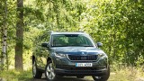 Skoda Kodiaq. Pełny polski cennik 