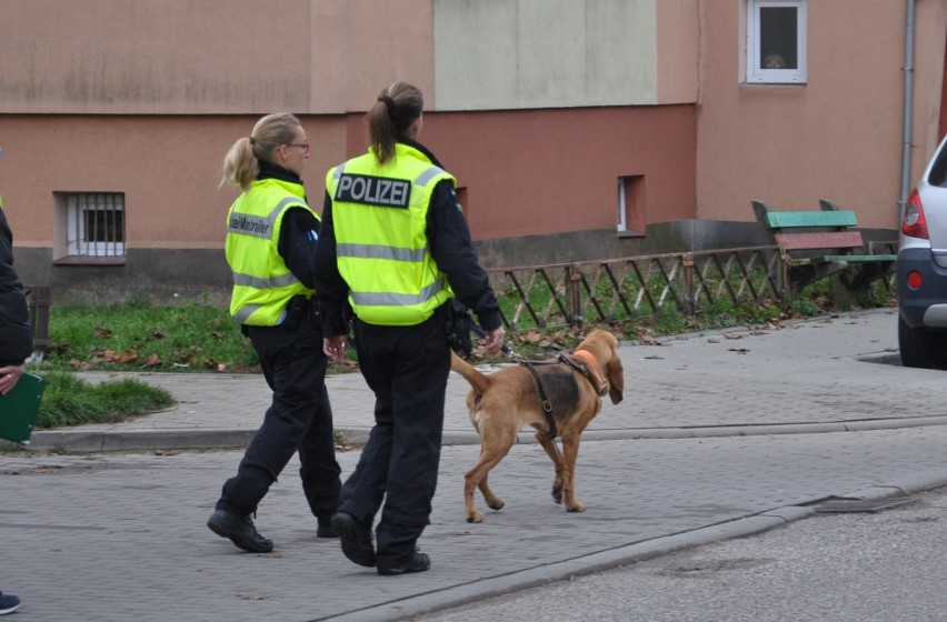 Olecko. Niemieckie psy mają pomóc w rozwikłaniu zagadki zabójstwa 69-latki [ZDJĘCIA]