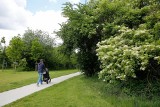 Kraków. Zielony park Reduta rozkwitł w pełni. Kosze na śmieci już tak nie rzucają się w oczy [ZDJĘCIA]