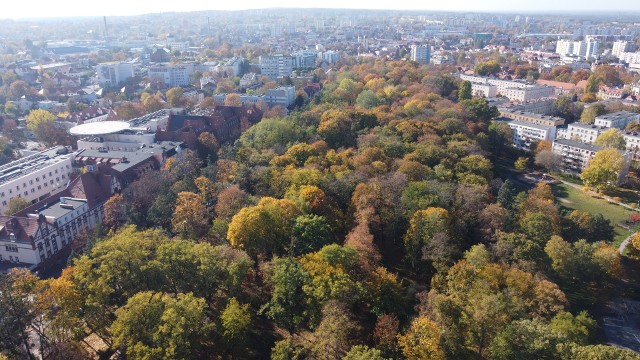 Park Tysiąclecia w Zielonej Górze jesienią mieni się feerią barw