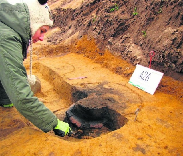 Na pola przebadane już przez archeologów wjechały maszyny konsorcjum firm PORR Polska Infrastructure i Polbud Pomorze, aby zebrać wierzchnią warstwę humusu.