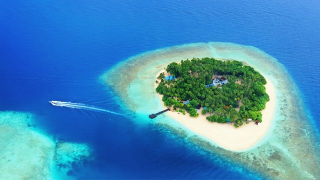 Malediwy to jedna z najpopularniejszych turystycznych destynacji. Piękna pogoda, czysta woda, białe plaże, a do tego szeroki wybór luksusowych hoteli czynią z Malediwów magnes na spragnionych wypoczynku. Ile kosztują wakacje all inclusive na Malediwach jesienią i zimą 2023/24? Kiedy najlepiej pojechać i co zobaczyć w tym egzotycznym kraju? Podpowiadamy! Zapraszamy do przewodnika po Malediwach na jesień i zimę.