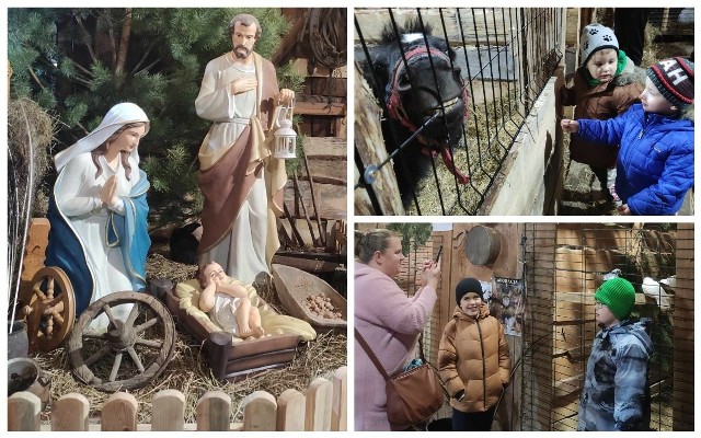 Żywa Szopka przy Parafii św. Wawrzyńca w Nowym Sączu Biegonicach cieszy się dużą popularnością
