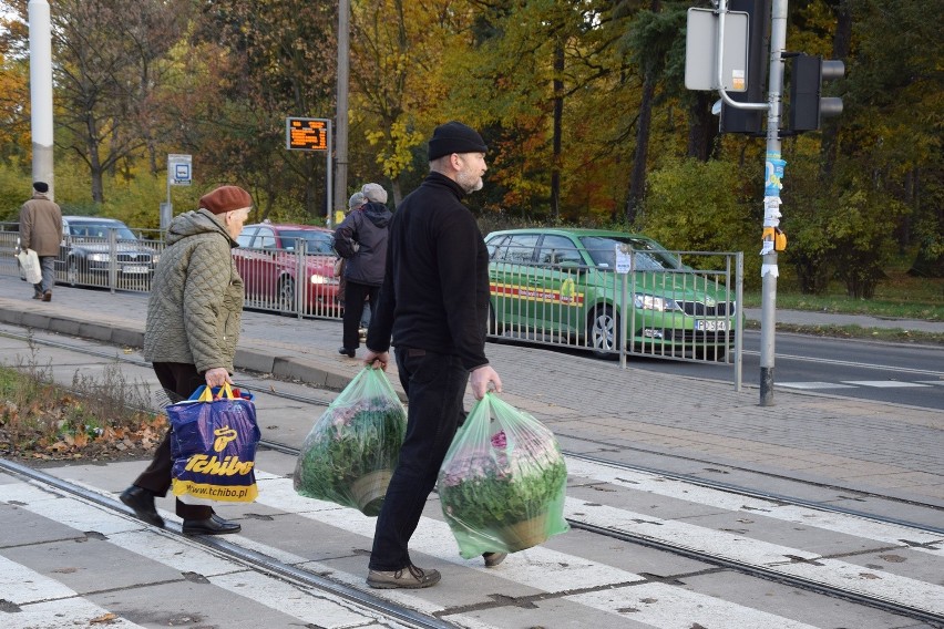 Porządki na cmentarzach. Tak jest na Grabiszynku [ZDJĘCIA]