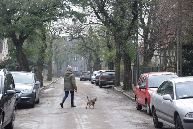 Część mieszkańców ul. Puszkina chce remontu chodników i jezdni.