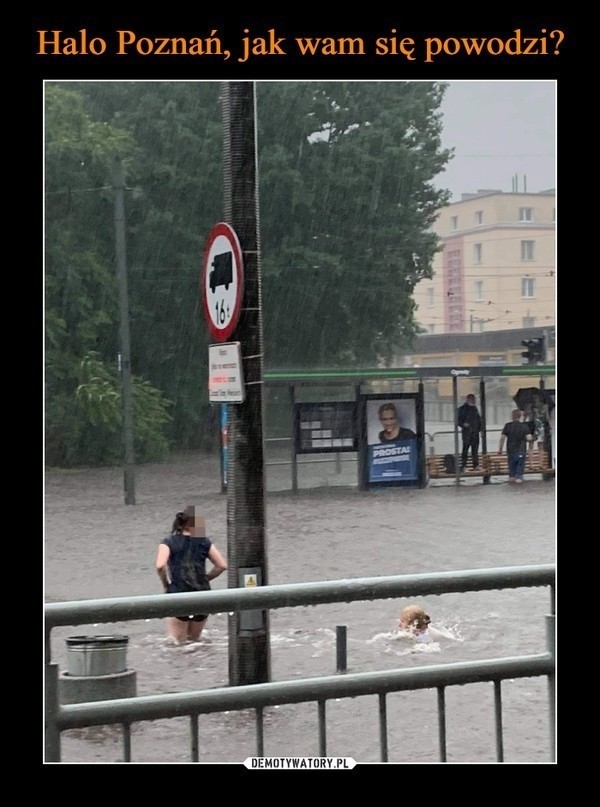 Gdzie w Poznaniu najlepiej biorą ryby? Co leci z kranów w...