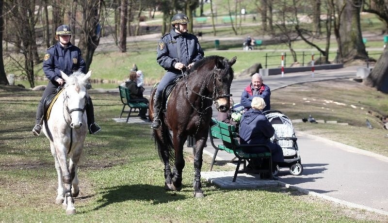 Gwałciciele wciąż na wolności! Straż miejska konno patroluje park [zdjęcia]