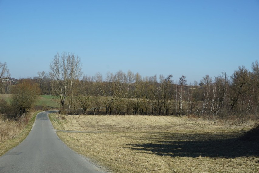 Koprzywnica przygotowuje lokalne trasy rowerowe. Wybrane odcinki terenów i tras zachwycają. Zobacz zdjęcia  