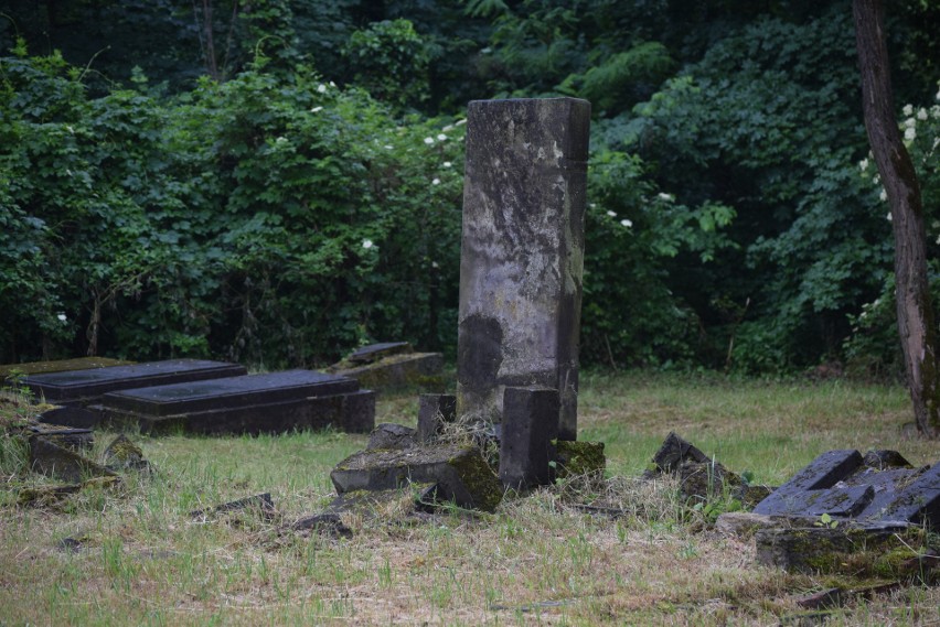 Opuszczona nekropolia w Częstochowie. Tu natura przejęła...