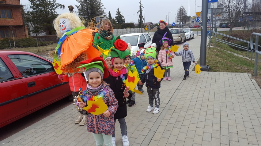 Przedszkolaki przywoływały wiosnę biedronkami i tulipanami. Korowód roześmianych dzieciaków z Chatki Misia Uszatka przeszedł przez osiedle