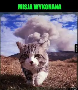 Międzynarodowy Dzień Kota