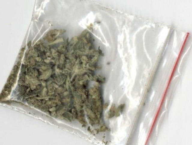 Policjanci z Grudziądza zatrzymali dilera narkotyków. Wartość zabezpieczonej marihuany to ok. 3 tys. zł