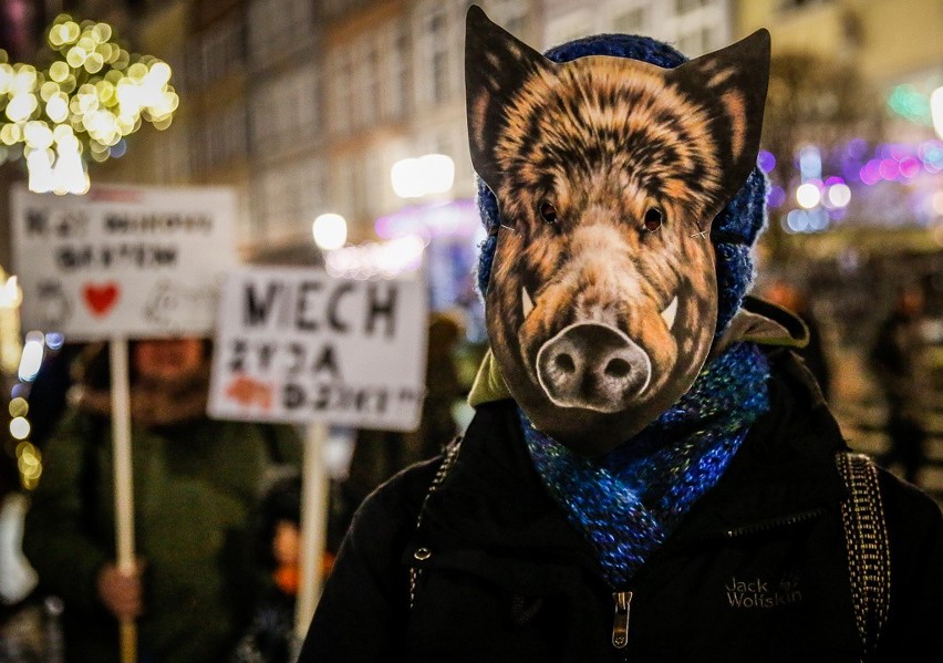 Gdański protest przeciwko masowemu odstrzałowi dzików,...