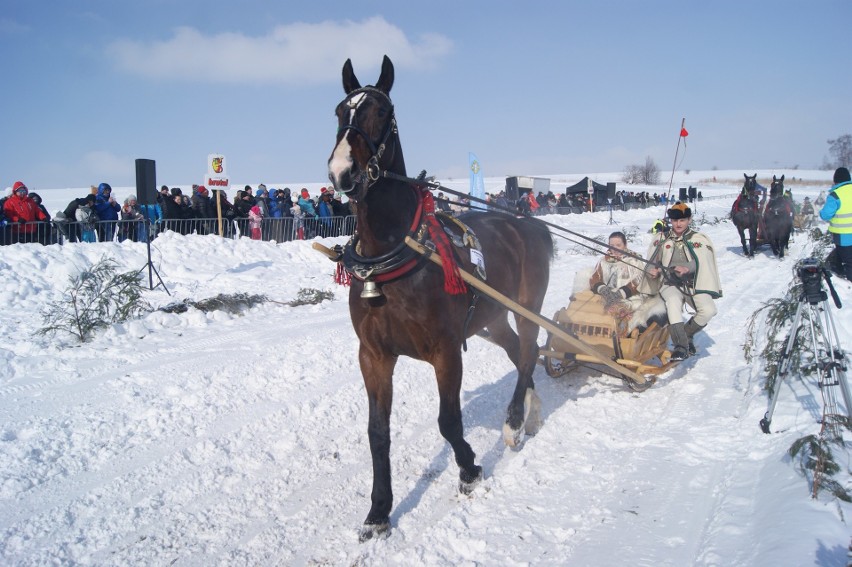 Kumoterki Zakopane 2018