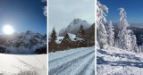 Zasypane górskie szlaki - zobaczcie jak wyglądają teraz ścieżki w Gorcach i Tatrach  