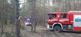 Pożar w gminie Odrzywół, czyżby znowu to sprawka podpalacza?