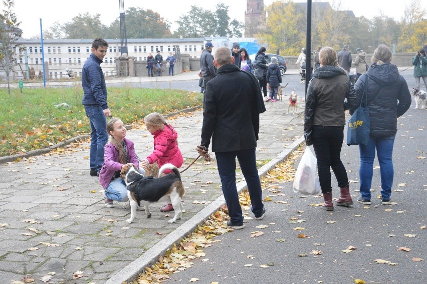 Kundelki przeszły miastem 