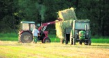 Paliwo podrożało, a ceny zbóż spadły