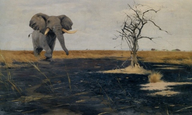 W 1893 roku afrykańskie obrazy Kuhnerta po raz pierwszy pokazano na berlińskiej wystawie sztuki. 