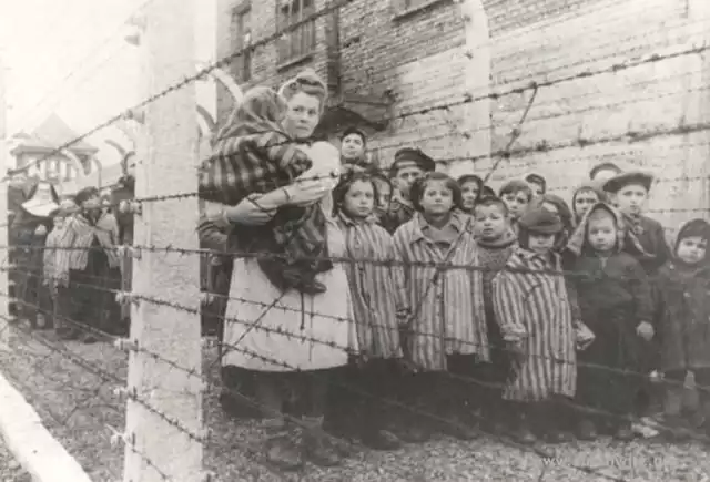 Spośród ponad 230 tys. dzieci deportowanych przez Niemców do Auschwitz wyzwolenia doczekało 700 z nich