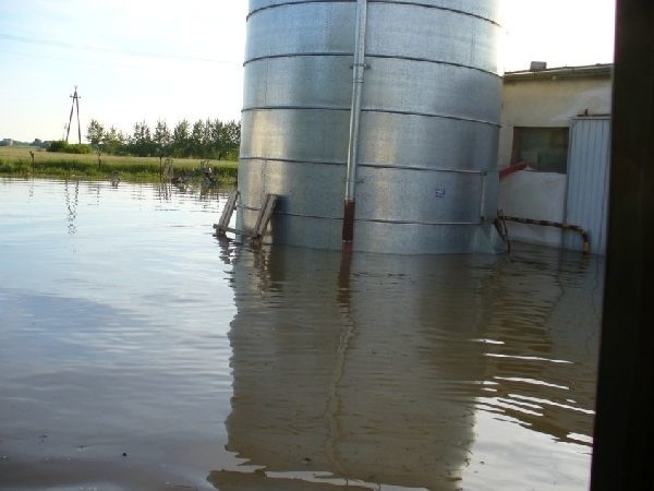 PowódL w TrzcianieWoda zalala duze gospodarstwo rolne  w Trzcianie, w gm. Czermin.