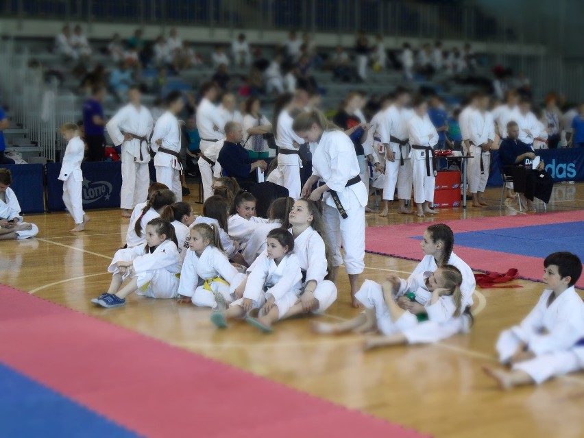 Bytom: Silesia Cup 2016 karate w Hali na Skarpie