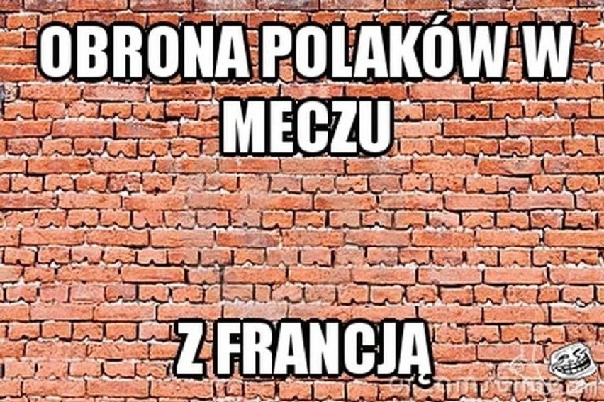 Polska-Francja. Memy po zwycięstwie biało-czerwonych