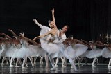 Balet Królewski ze Lwowa przyjeżdża do Radomia zatańczyć przepiękne „Jezioro Łabędzie”