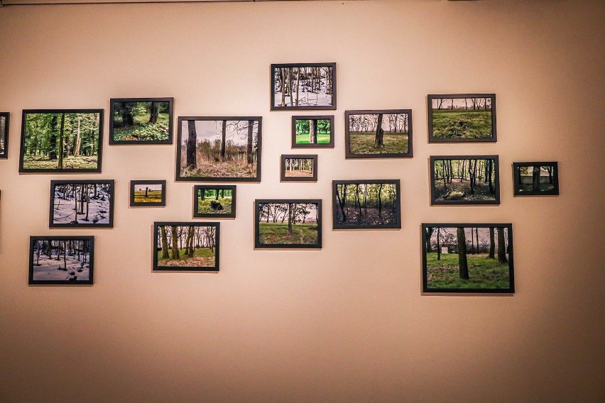 W Galerii Pustej Katowice Miasto Ogrodów można oglądać wystawę fotografii Artura Rychlickiego zatytułowaną „Niezauważalne”