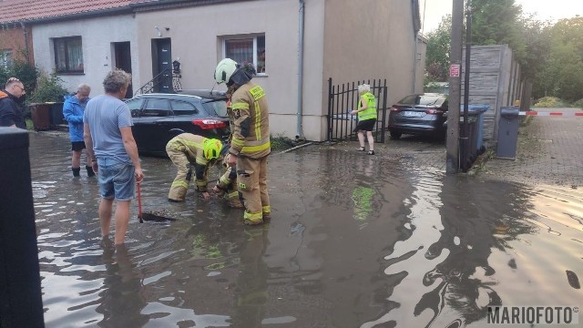 Wstępne straty szacowane są na kilka milinów złotych