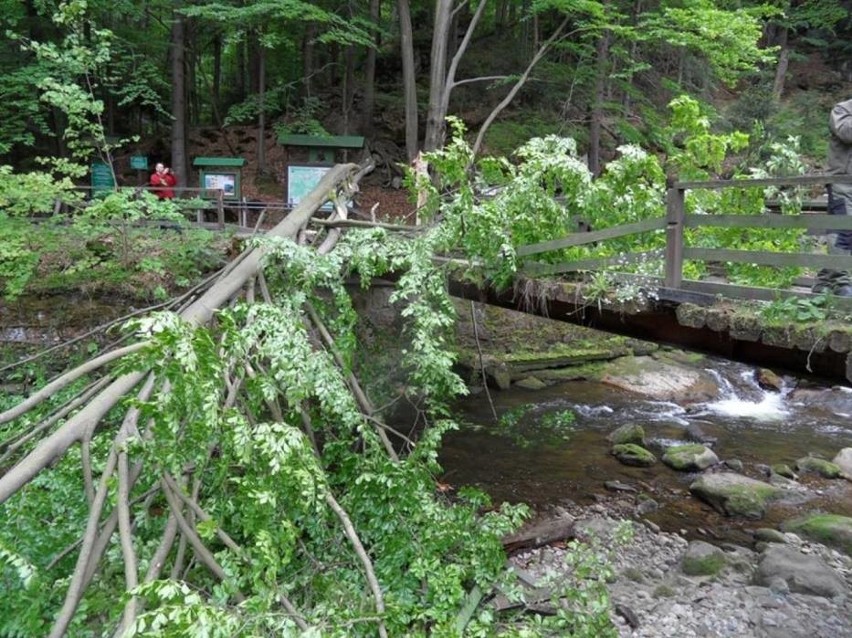 Potężne drzewo runęło na most przy znanym wodospadzie Szklarki (ZDJĘCIA)
