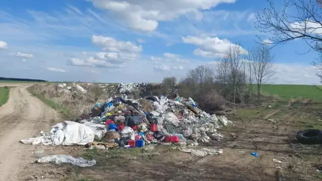 Wyrzucone pod Sędziszowem śmieci